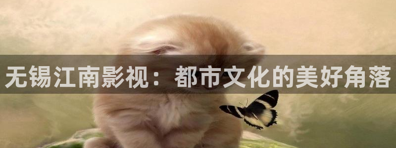 光棍影院免费电脑版