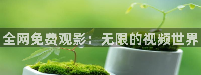 光棍影院在线观看1：全网免费观影：无限的视频世界