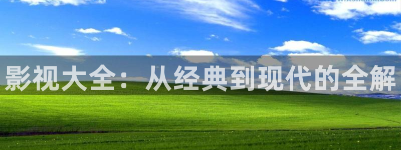 丫丫光棍影院：影视大全：从经典到现代的全解