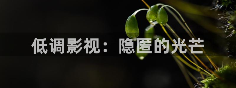 光棍影院yyyy11111